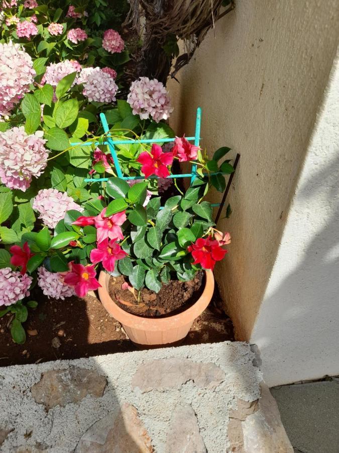 Apartmani Sekana Starigrad Paklenica Dış mekan fotoğraf